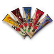 Load image into Gallery viewer, Baouw Organic blueberry, hazelnut &amp; fir bud energy bar - 25g
